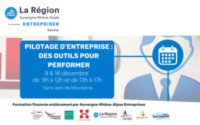 Pilotage d’entreprise : des outils pour performer